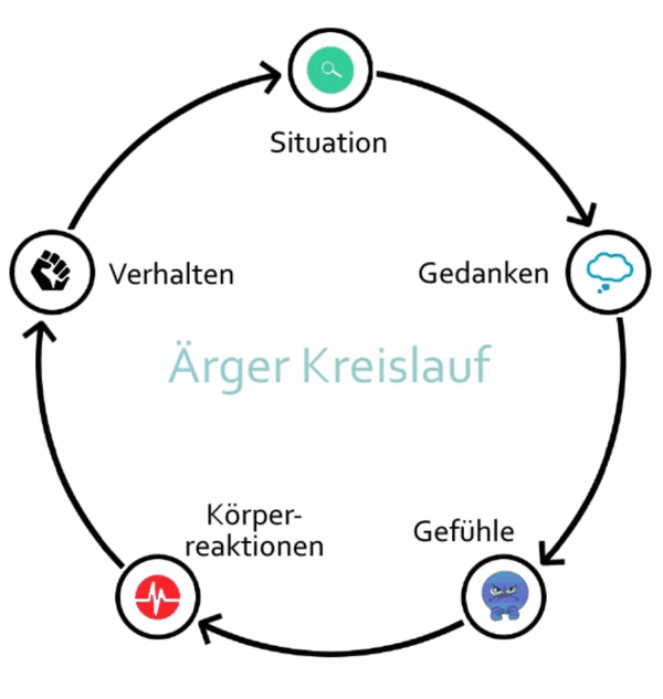 Zorn Kreislauf