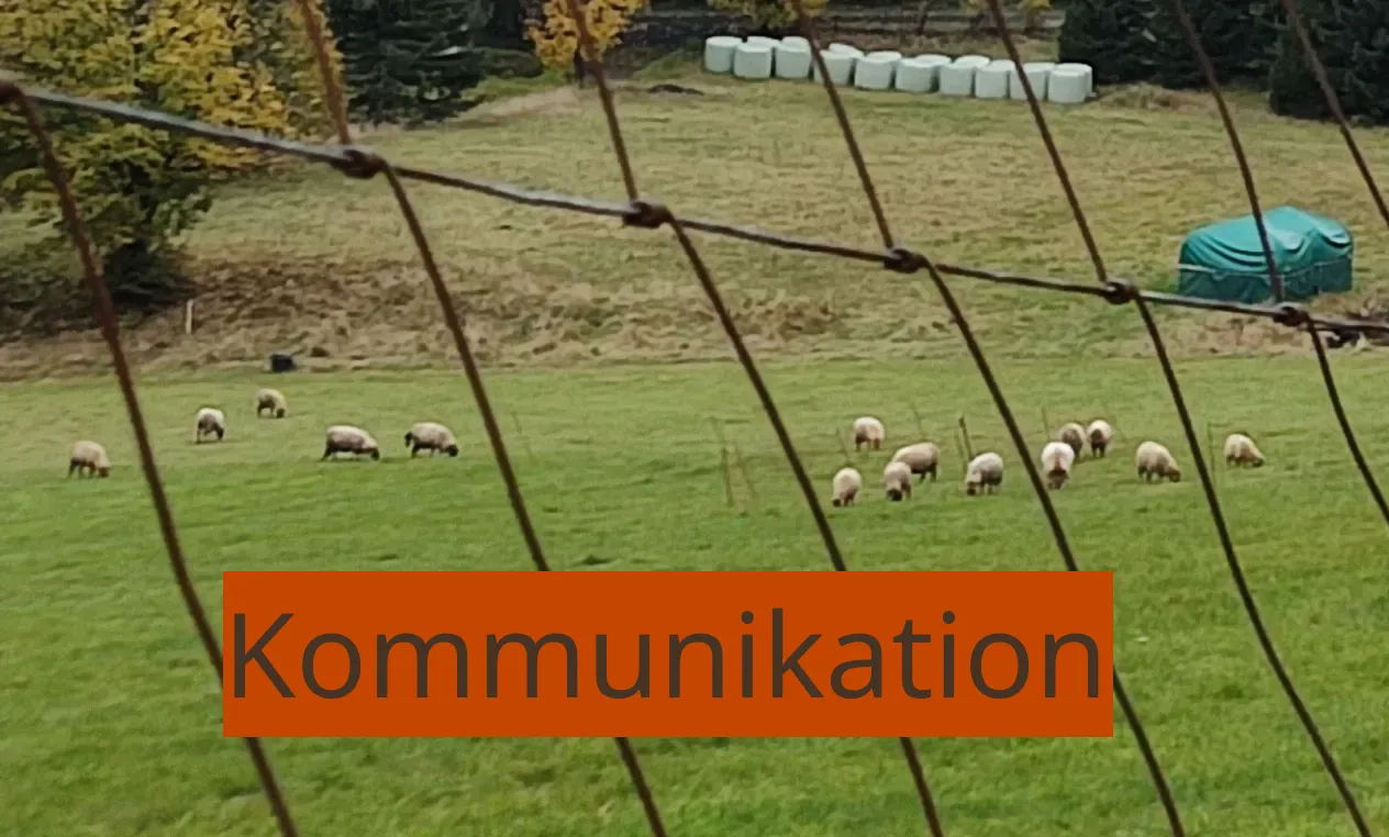 Kommunikation